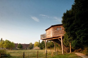 cabane-ecureuil